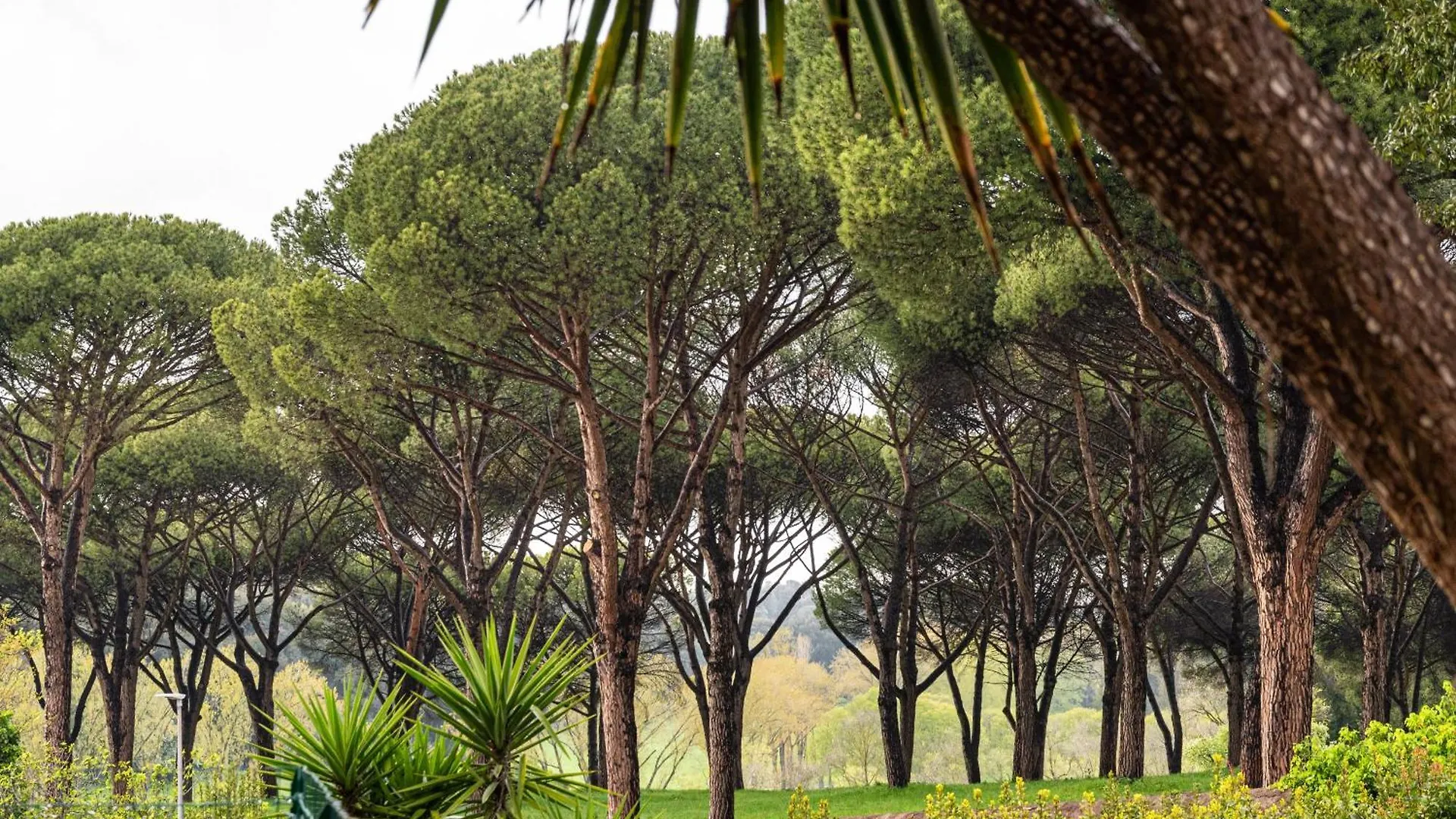 Pamphili Garden Villa Rome 0*,  Italy